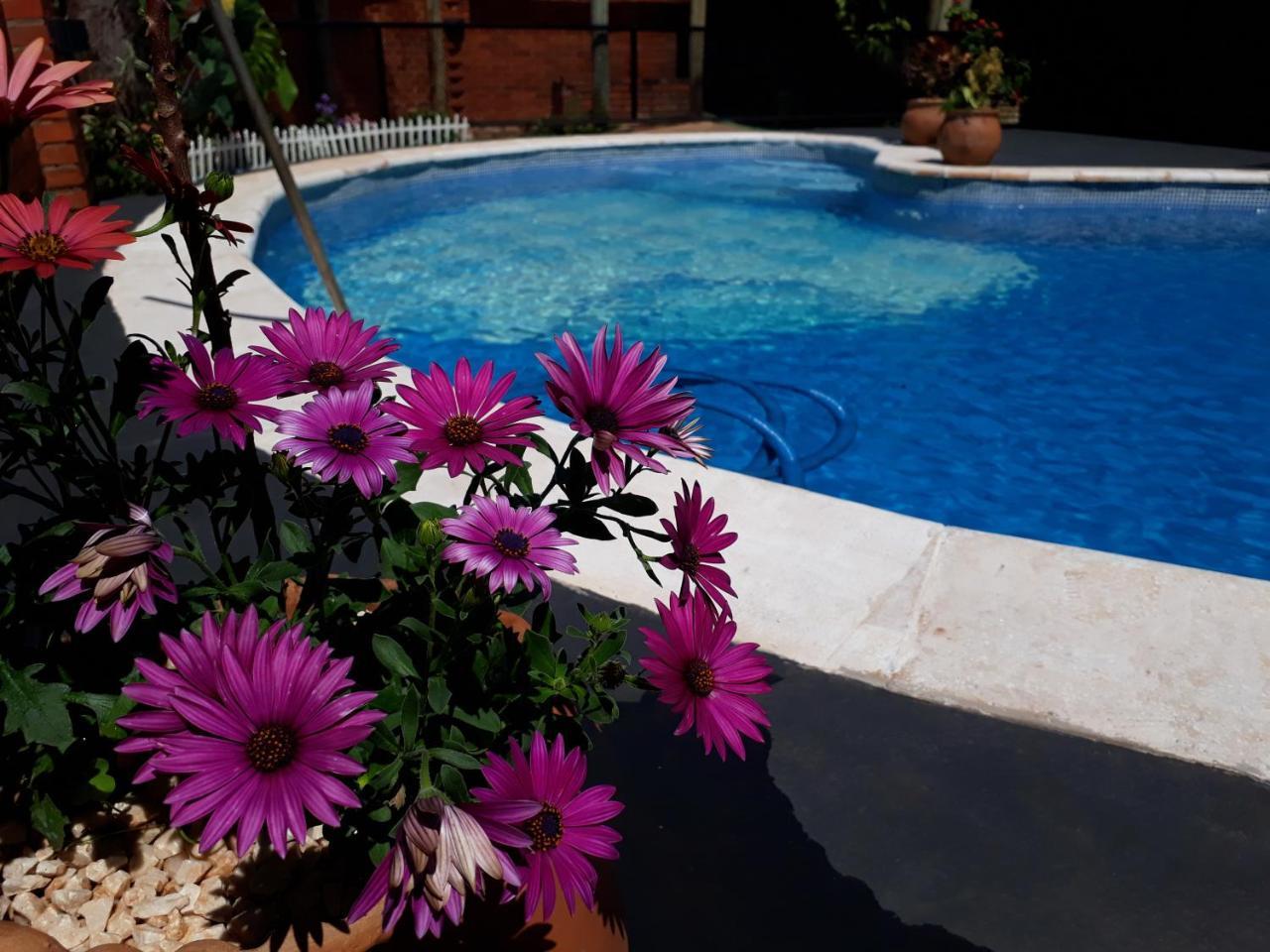 Sentirse En Casa Vila Puerto Iguazú Exterior foto